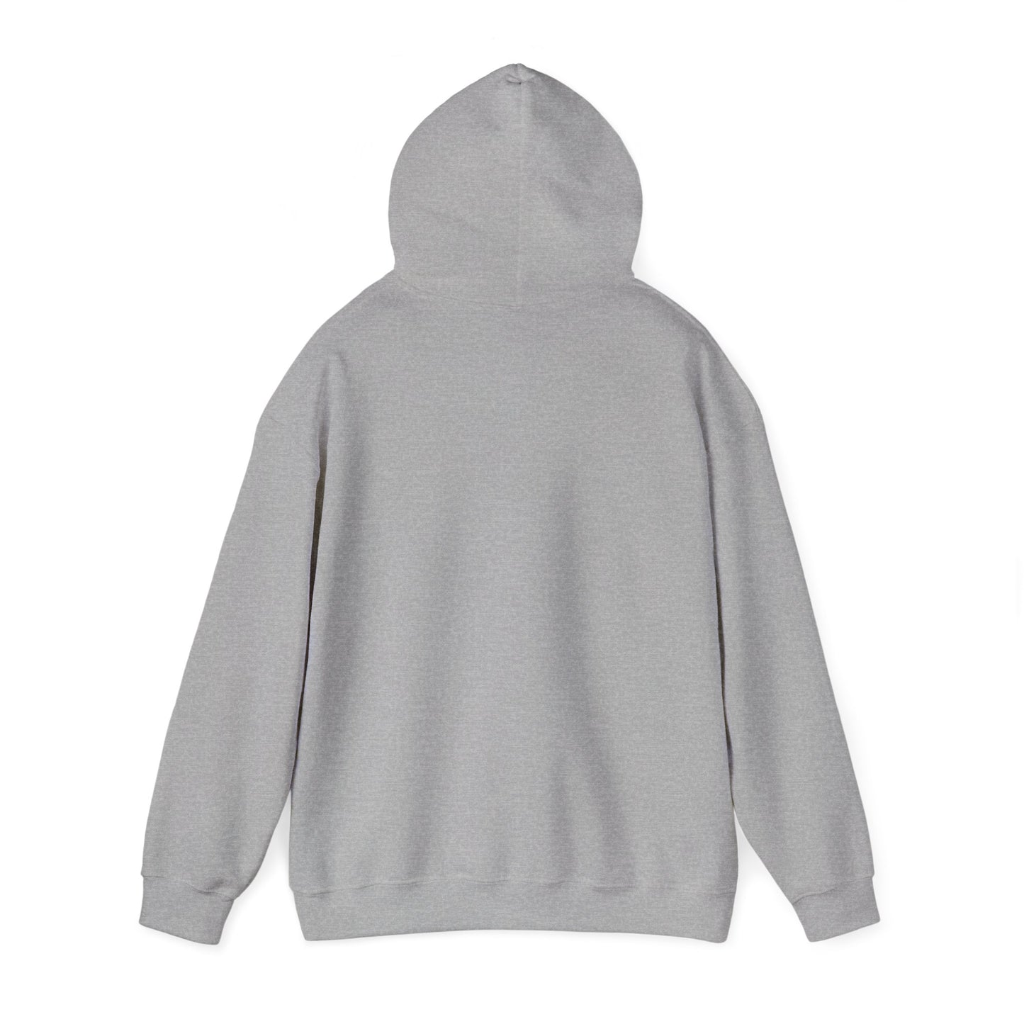 Mentally Ill but Totally Chill Hoodie | Healthcare Humor Hoodie | Retro Shield Mental Health Design
